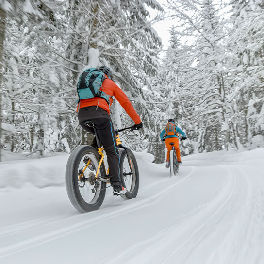 bike-sport-people-snow-trail-winter-endurance-mountainbike-text-image-1-1