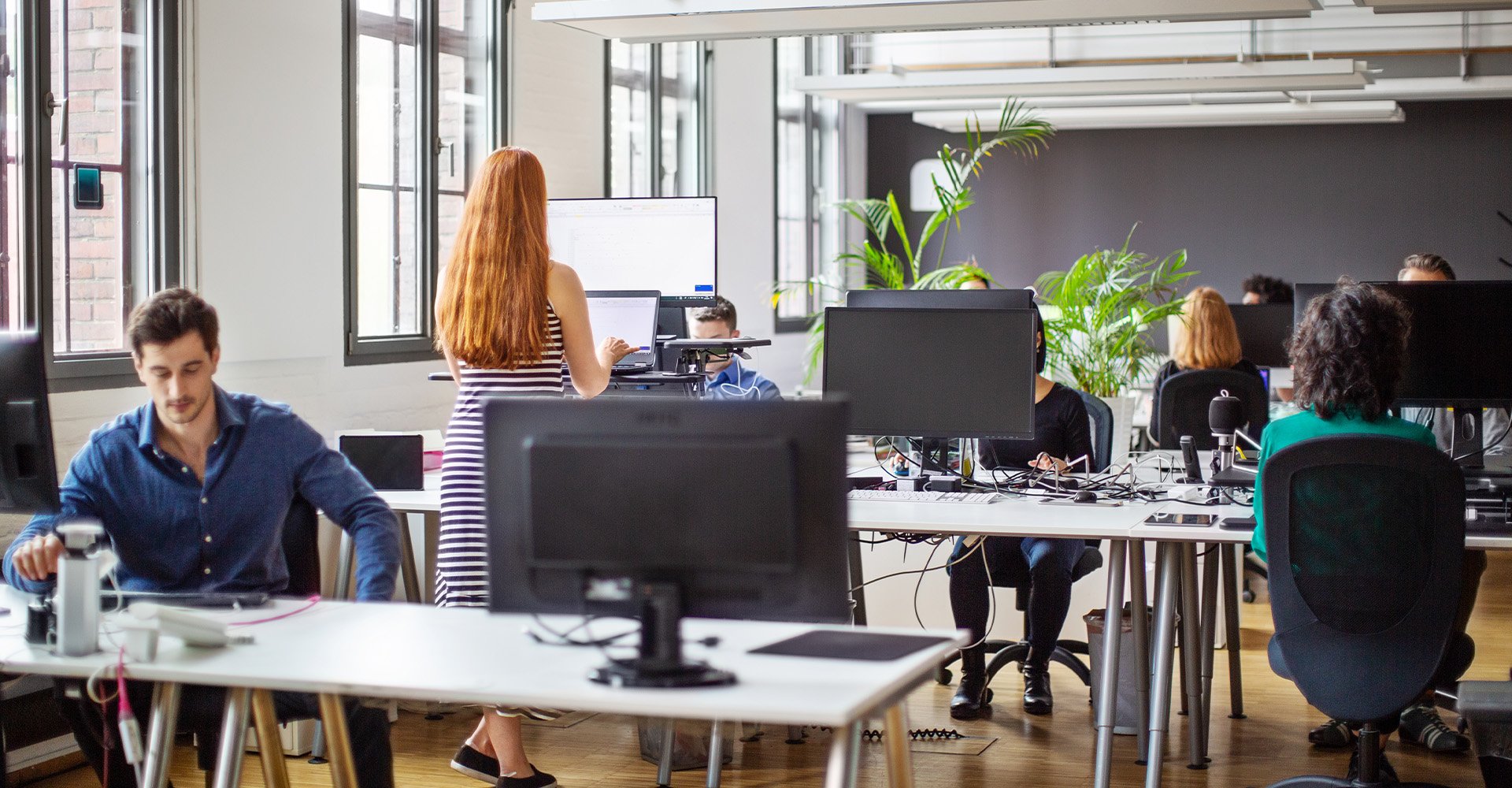 people-office-focused-on-work-hero
