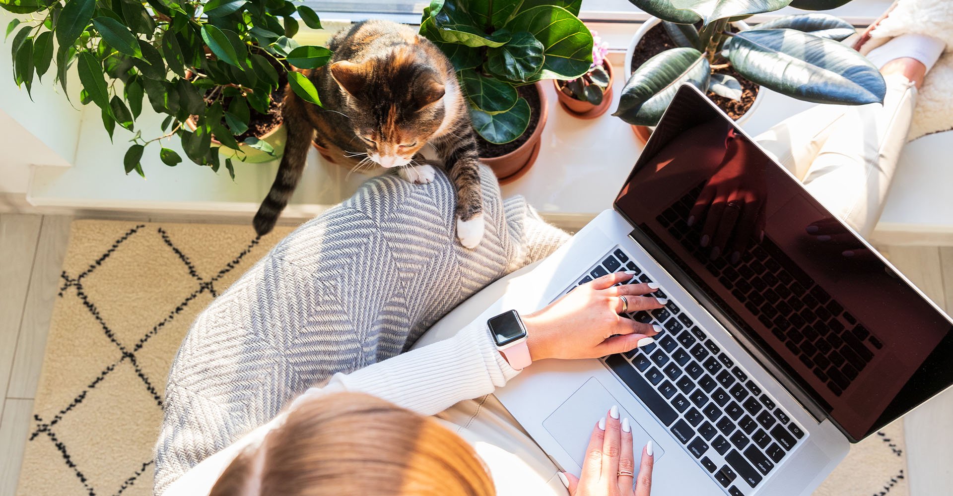 people-home-office-cat-demanding-attention-hero