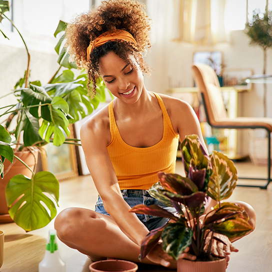 woman-plants-inside-sunlight-1-1-544x544px